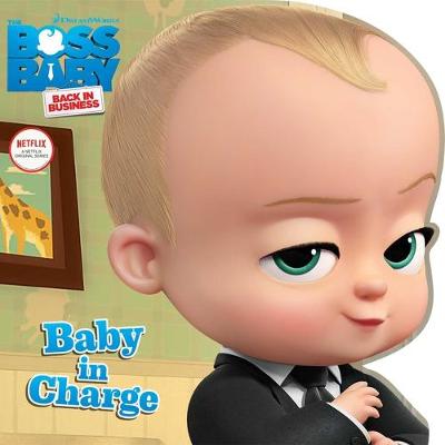 Book cover for Baby in Charge