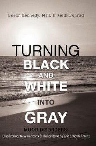 Cover of Turning Black and White Into Gray