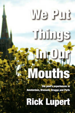 Cover of We Put Things in Our Mouths