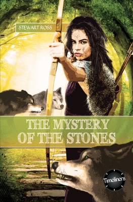 Book cover for The Mystery of the Stones