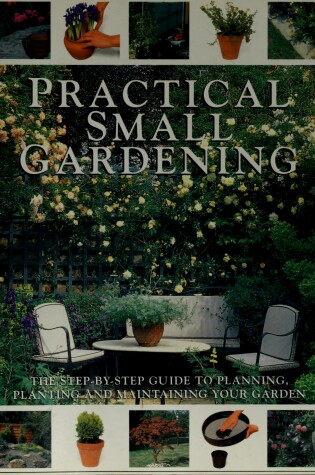 Cover of Perfect Small Gardens