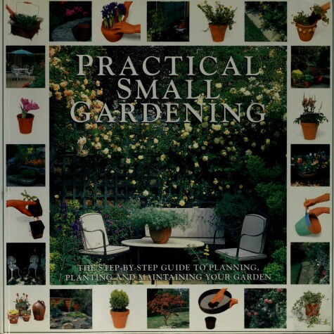 Book cover for Perfect Small Gardens