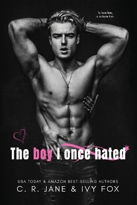 Book cover for The Boy I Once Hated