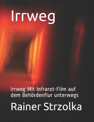 Book cover for Irrweg