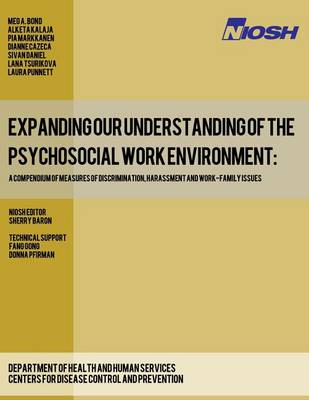 Book cover for Expanding Our Understanding of the Psychosocial Work Environment