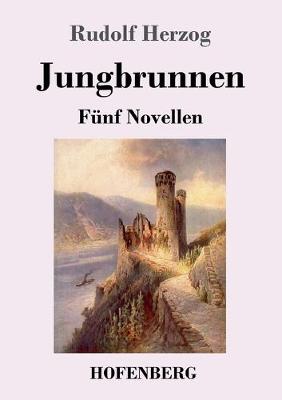 Book cover for Jungbrunnen