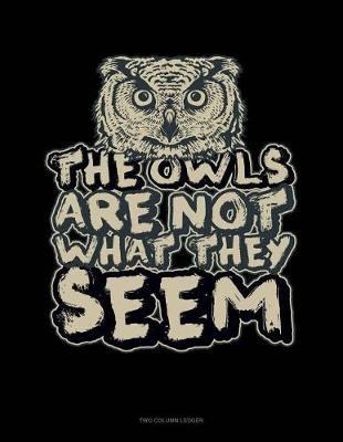 Book cover for The Owls Are Not What They Seem