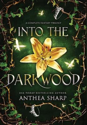 Book cover for Into the Darkwood