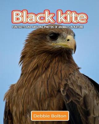 Book cover for Black Kite