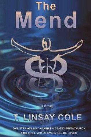 Cover of The Mend