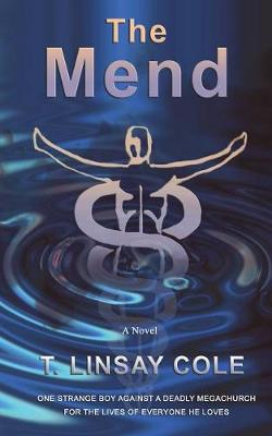 Book cover for The Mend