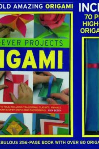 Cover of How to Fold Amazing Origami