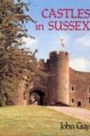 Cover of Castles In Sussex