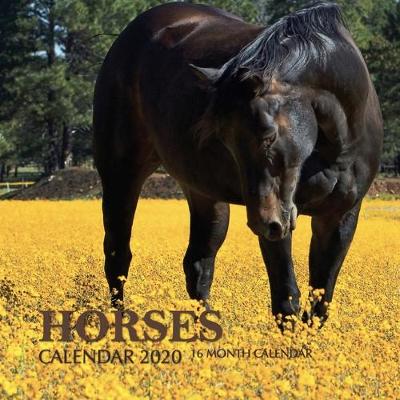 Book cover for Horses Calendar 2020