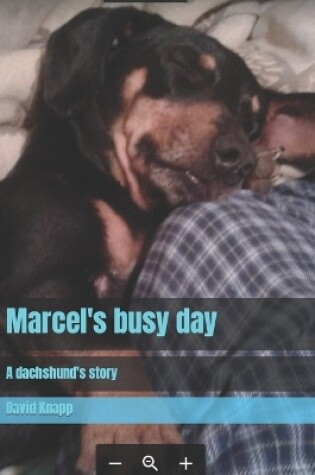 Cover of Marcel's busy day