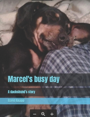 Book cover for Marcel's busy day