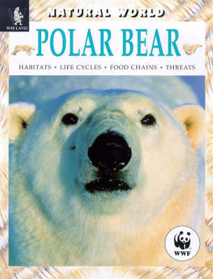 Book cover for Polar Bear