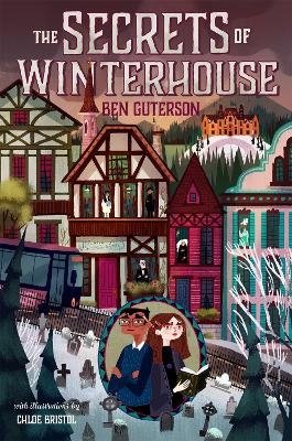 Book cover for The Secrets of Winterhouse