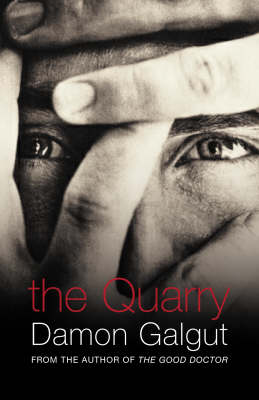 Book cover for The Quarry