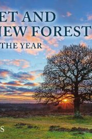 Cover of Dorset and the New Forest Through the Year