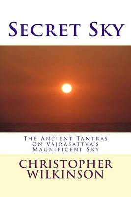 Book cover for Secret Sky