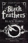 Book cover for Black Feathers