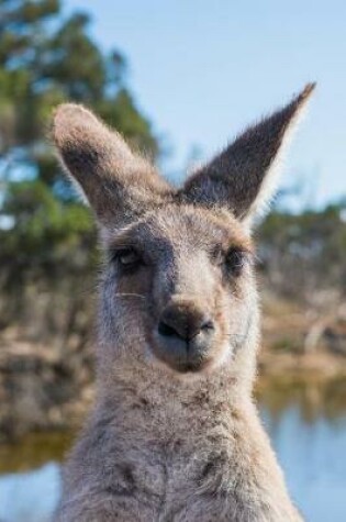 Cover of Fetching Kangaroo in Australia Animal Journal