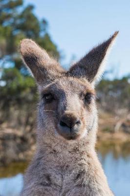 Book cover for Fetching Kangaroo in Australia Animal Journal