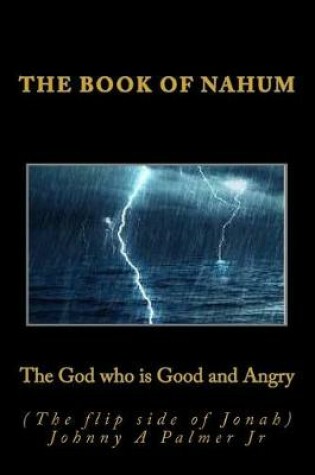 Cover of The God who is Good and Angry (The flip side of Jonah)