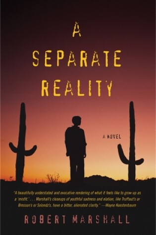 Cover of A Separate Reality