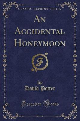 Book cover for An Accidental Honeymoon (Classic Reprint)