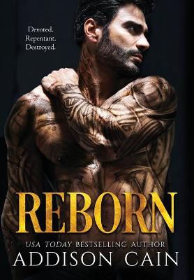 Book cover for Reborn