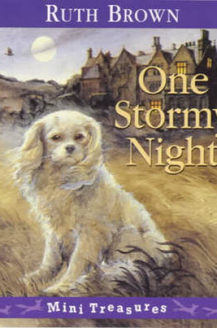 Cover of One Stormy Night