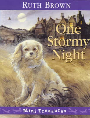 Book cover for One Stormy Night