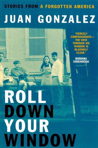 Cover of Roll Down Your Window