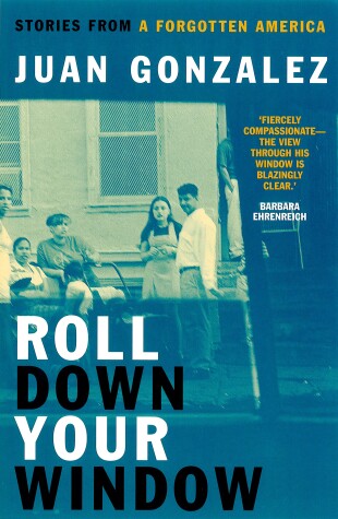 Book cover for Roll Down Your Window