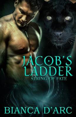 Book cover for Jacob's Ladder