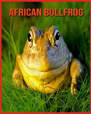 Book cover for African Bullfrog