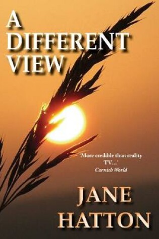 Cover of A Different View