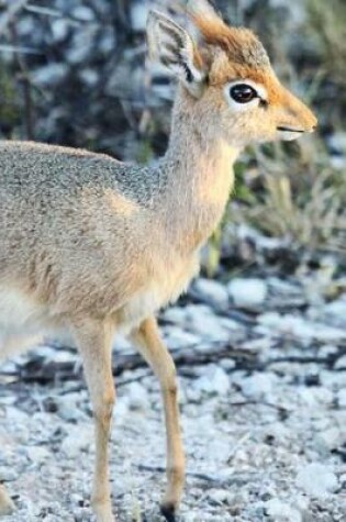 Cover of Tiny Dik Dik African Antelope Animal Journal