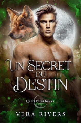 Cover of Un Secret du Destin