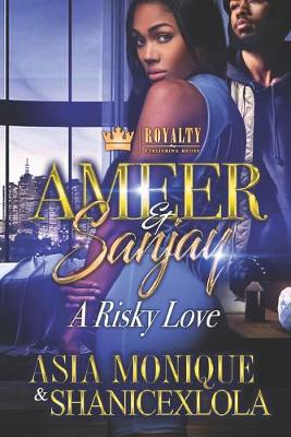 Book cover for Ameer & Sanjay