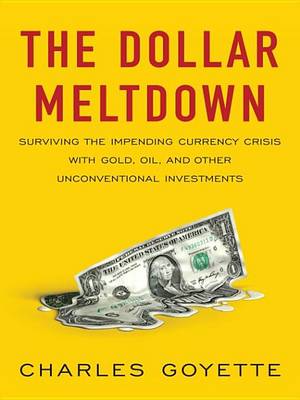 Book cover for The Dollar Meltdown