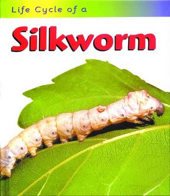Book cover for Silkworm