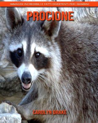 Book cover for Procione