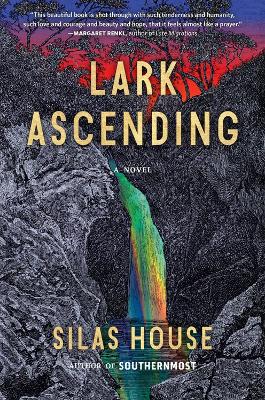 Book cover for Lark Ascending