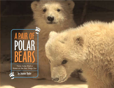 Book cover for A Pair Of Polar Bears: Twin Cubs Find a Home at the San Diego Zoo