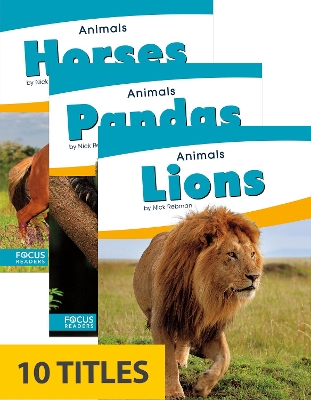 Book cover for Animals (Set of 10)