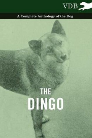 Cover of The Dingo - A Complete Anthology of the Dog -