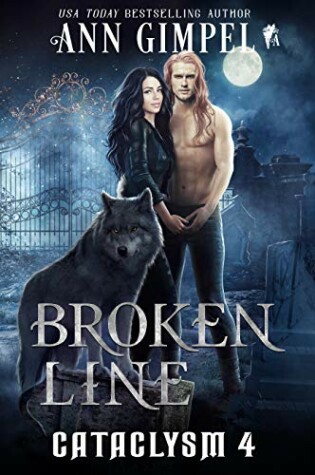 Cover of Broken Line